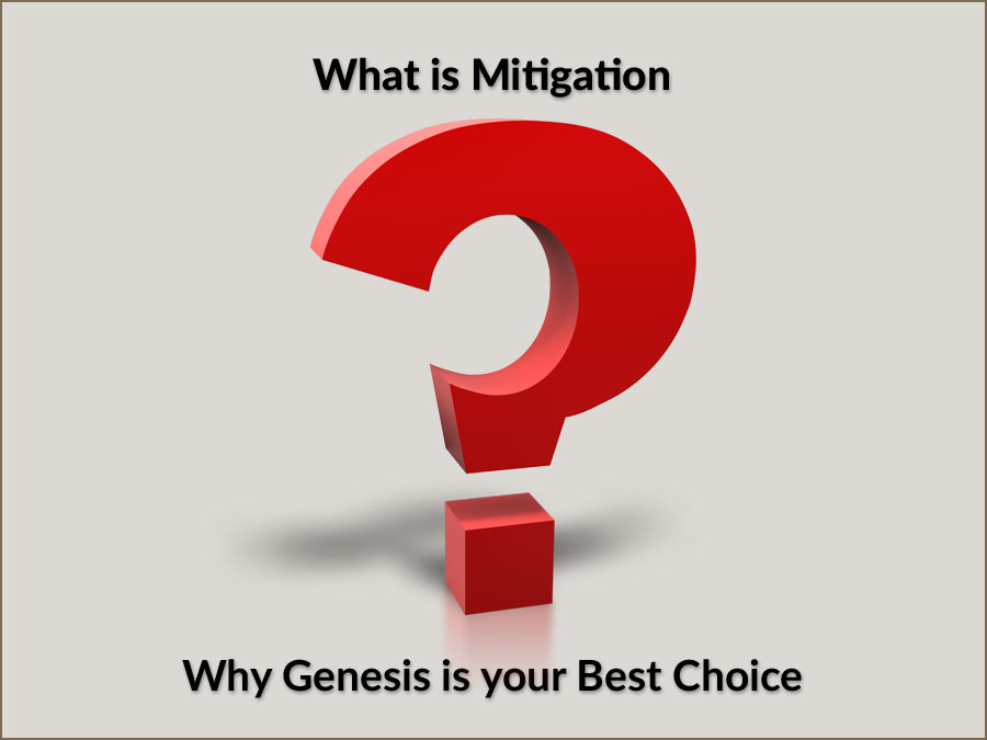 What is Mitigation all about?