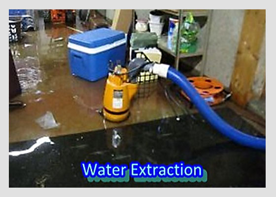 An image is worth 1000 words