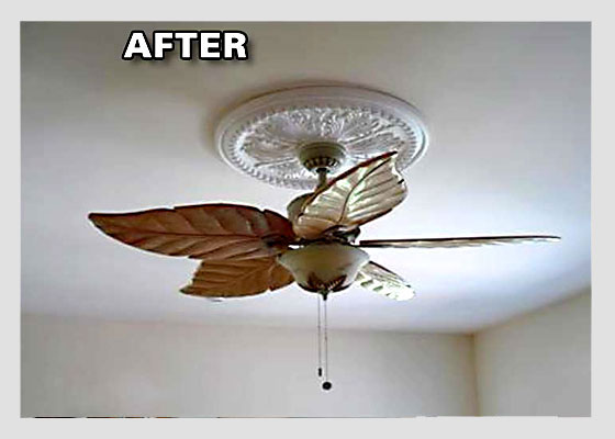 An image is worth 1000 words