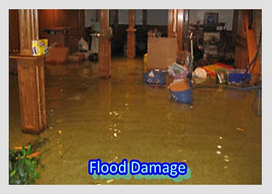 An image is worth 1000 words