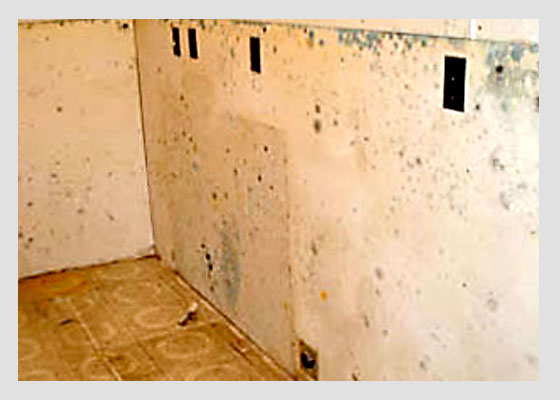 An image is worth 1000 words