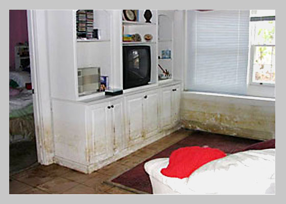 An image is worth 1000 words