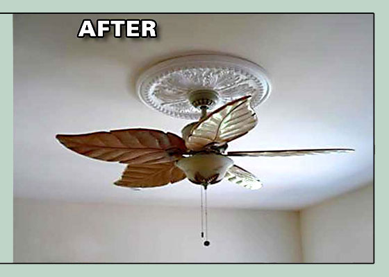 After Photo - Mold Damage